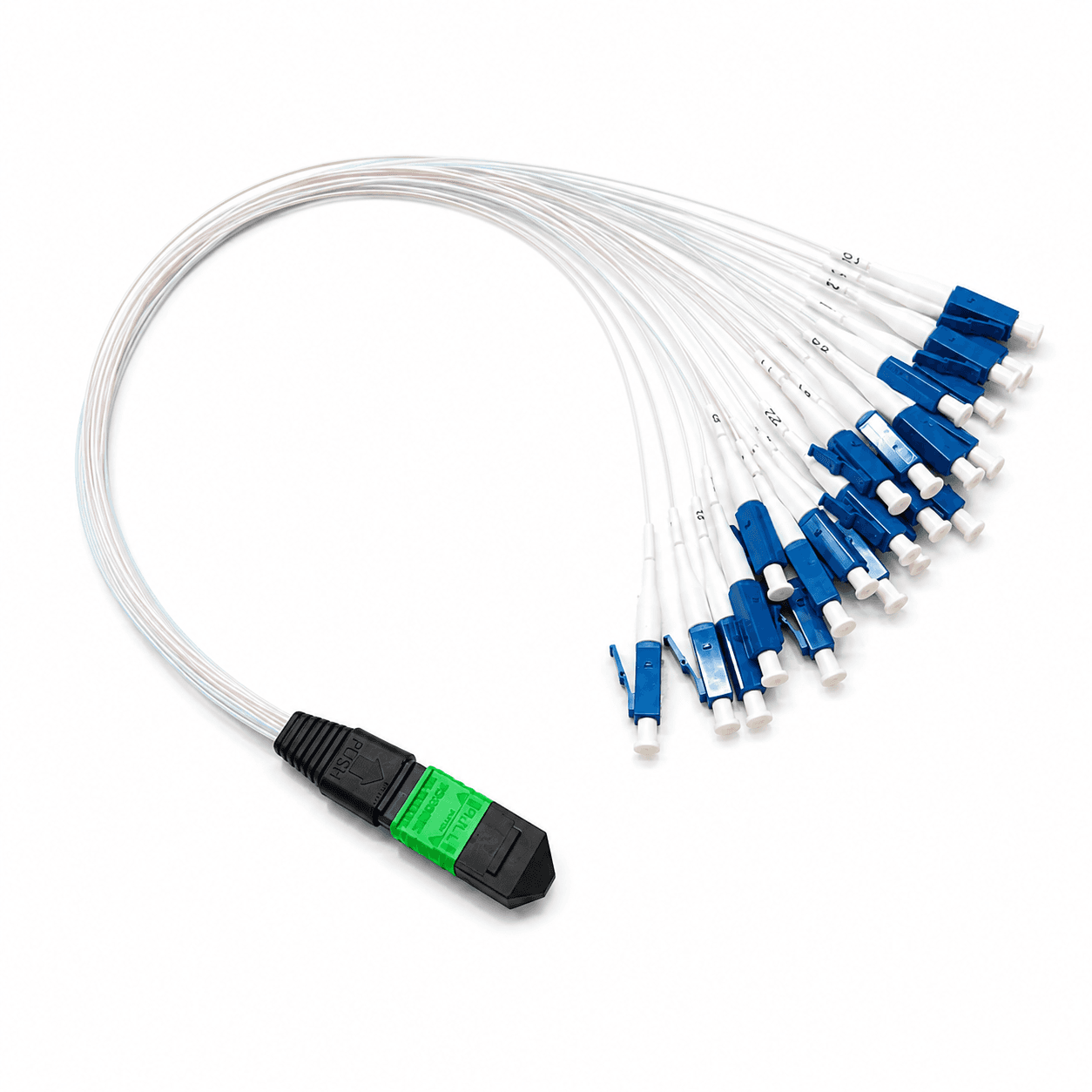 MTP or MPO fan-out assembly with individually color-coded fibers and blue branch connectors