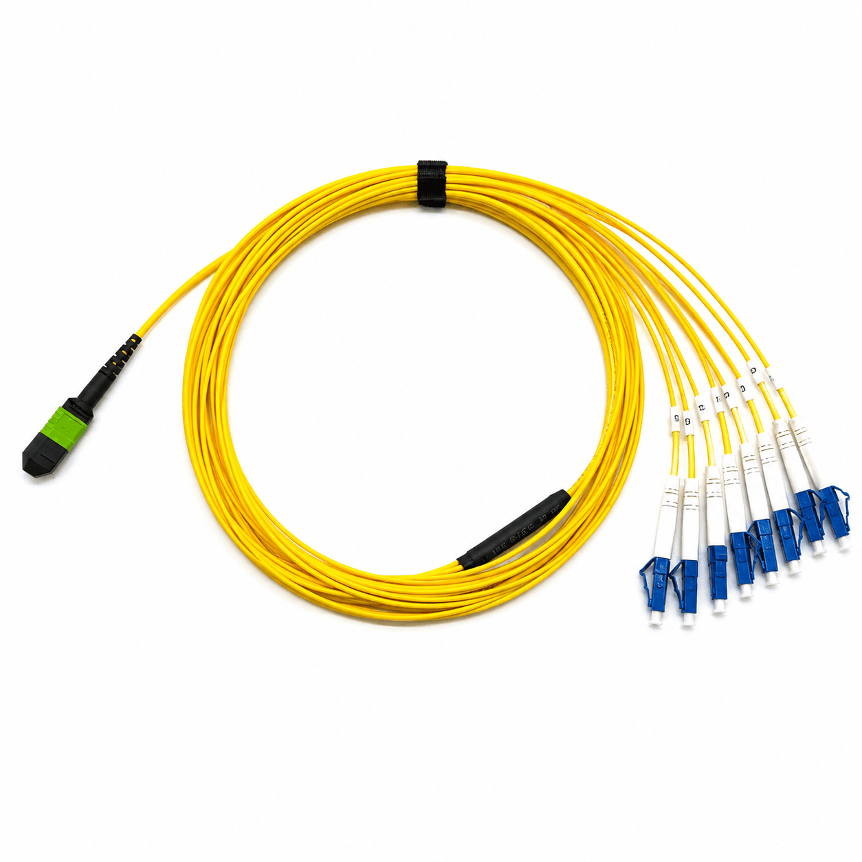 Yellow MTP or MPO breakout assembly with eight blue branch connectors