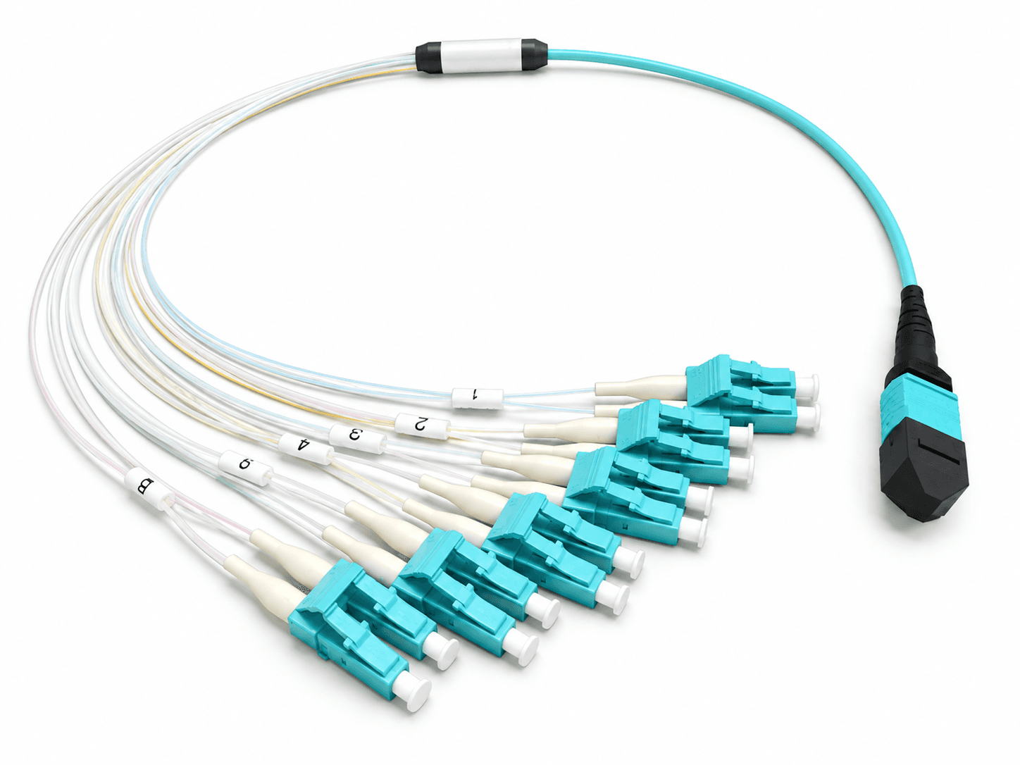 Aqua MTP or MPO breakout assembly with one multifiber connector and numbered LC branch connectors