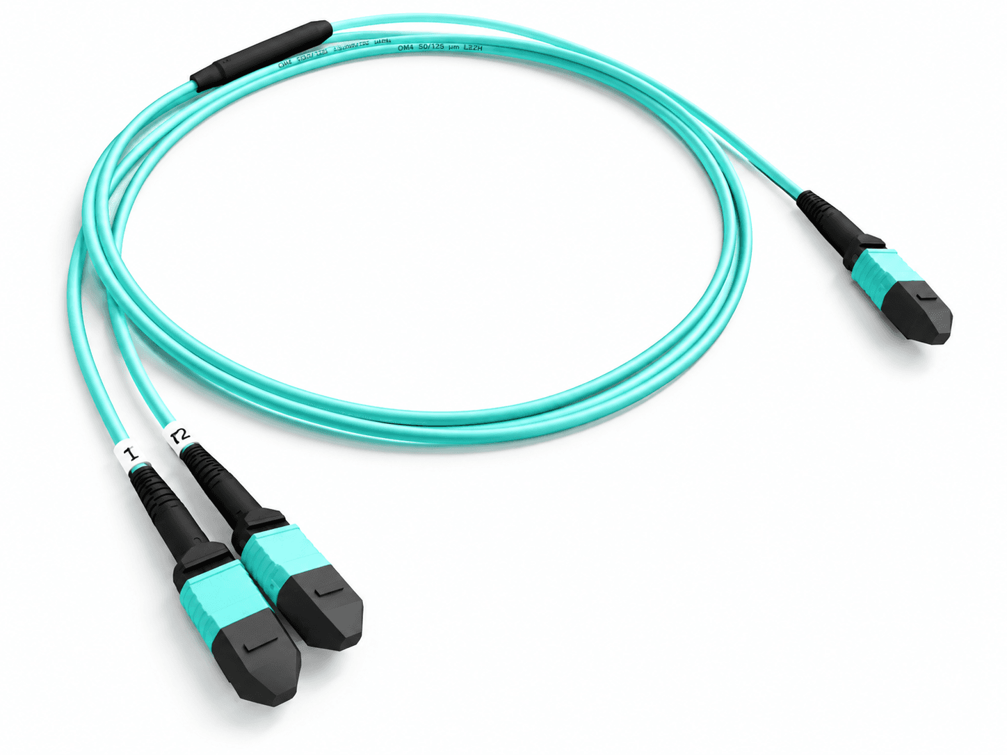Aqua OM4 MTP or MPO cable assembly with two labeled interfaces at one end