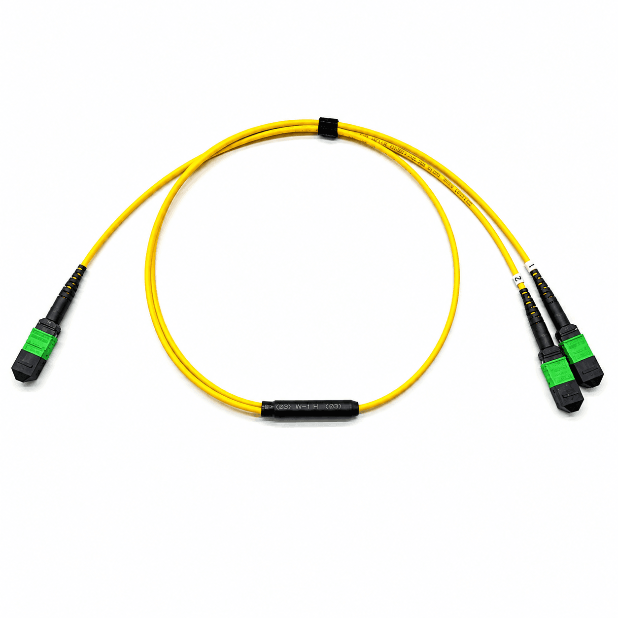 Yellow MTP or MPO one-to-two breakout cable assembly with labeled branches