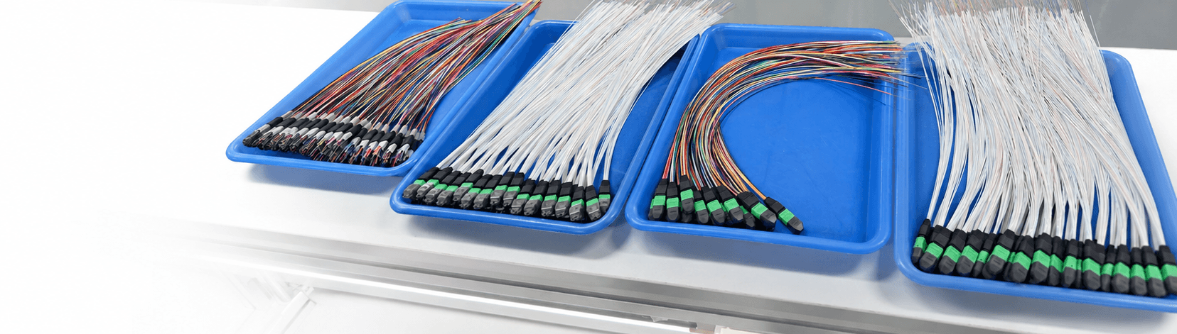 Fiber optic pigtail assemblies arranged in production trays