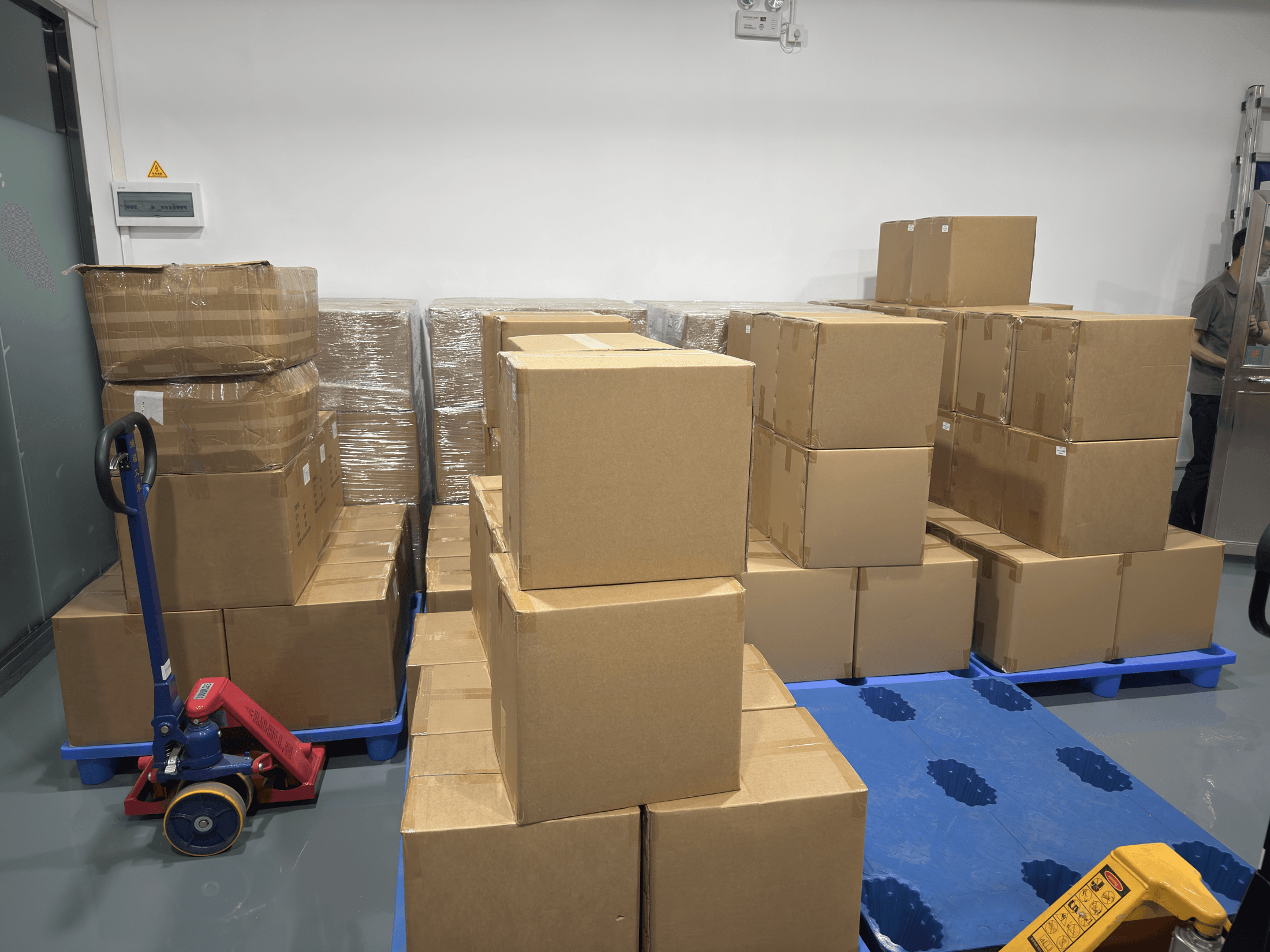 Batch cartons and pallets staged in shipment area
