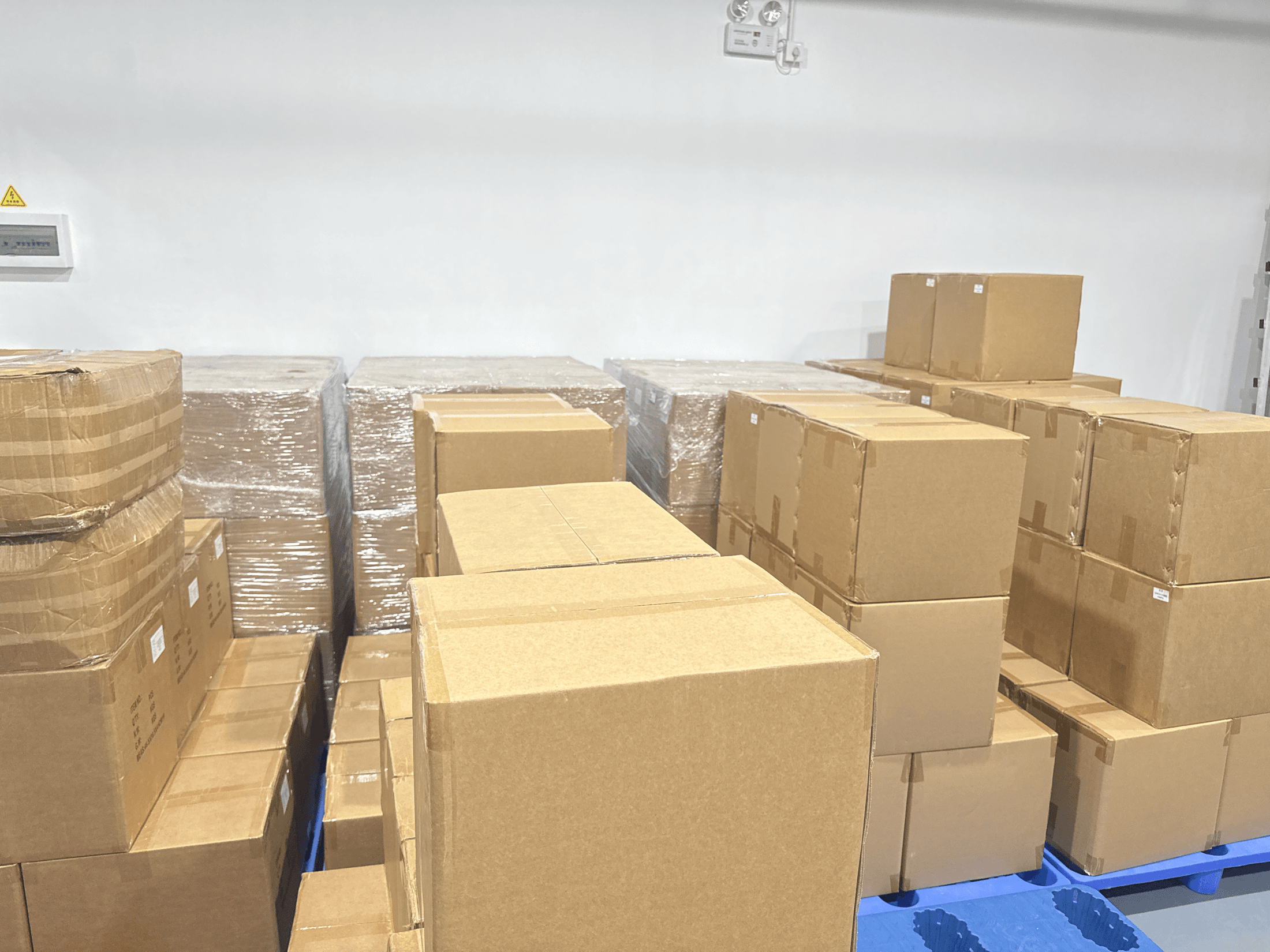 Cartons and wrapped pallets prepared in shipment room
